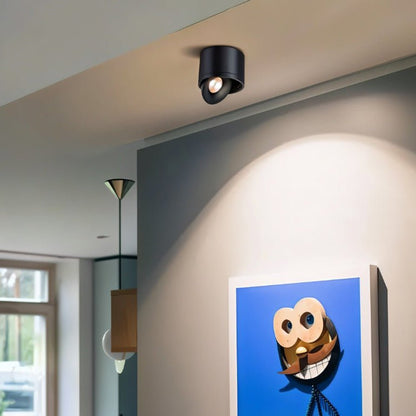 LUMITILT – LED Downlights Aluminum with precise 30° tilt