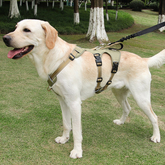 Hundegeschirr Gepolstert Schwarz Größe M Nylon Sicherheitsgeschirr Hund Anti-Zieh Design-2