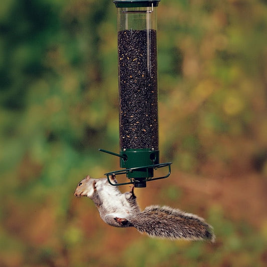WILDFEED – Comedero para pájaros de exterior con sistema Multi-Port y función de protección