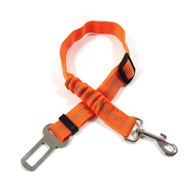 Variant image for Orange