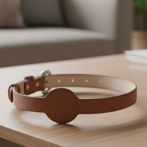 TAGSAFE – Dog Collar with Integrated AirTag Holder for Safety & Style