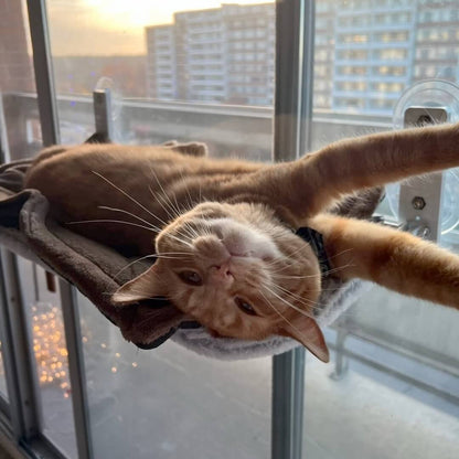 Pawperch - stilvolle Faltkatze Hanging Matte-4