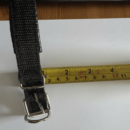 CAT GPS Tracker – localizzazione in tempo reale senza abbonamento