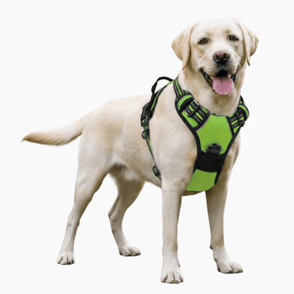 TRAILPAW – Reflective, Breathable Dog Harness for Small and Large Dogs