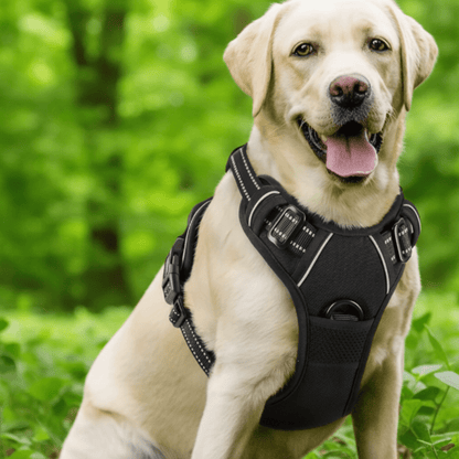 TRAILPAW – Reflective, Breathable Dog Harness for Small and Large Dogs