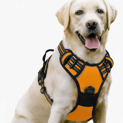 TRAILPAW – Reflective, Breathable Dog Harness for Small and Large Dogs