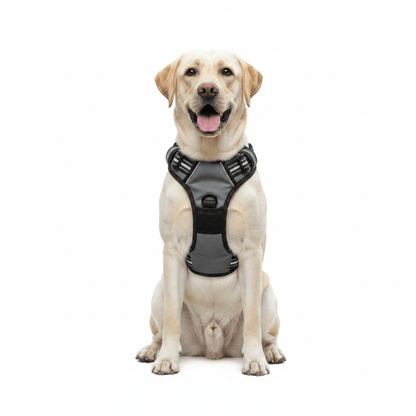 TRAILPAW – Reflective, Breathable Dog Harness for Small and Large Dogs