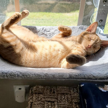 Pawperch - stilvolle Faltkatze Hanging Matte-2