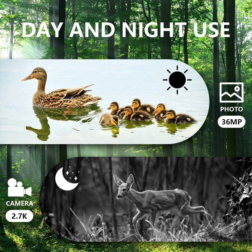 NightPulse Binoculars- Night vision binoculars with 300 m range & recording function