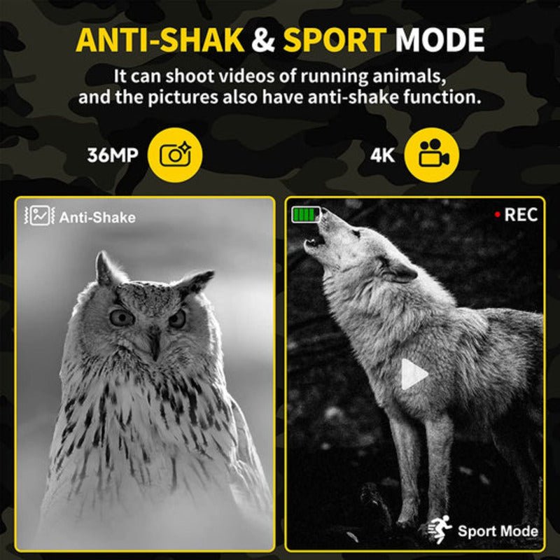 NOCTIVIEW – Jumelles de vision nocturne infrarouge numériques avec résolution 4K et caméra 36MP