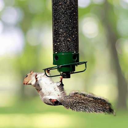 WILDFEED – Outdoor Vogelfutterspender mit Multi-Port System und Schutzfunktion