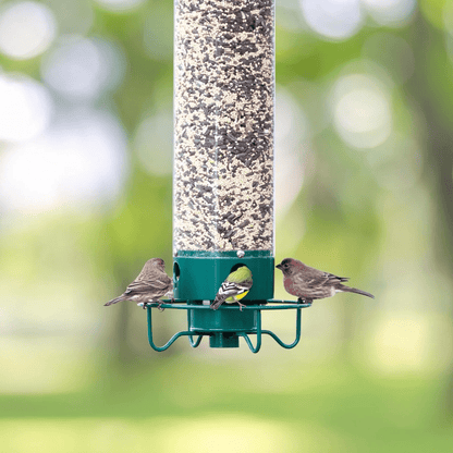 WILDFEED – Outdoor Vogelfutterspender mit Multi-Port System und Schutzfunktion