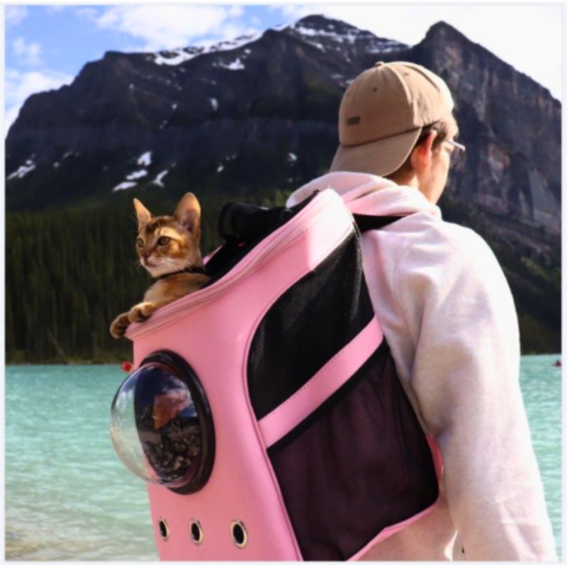 Cattrekker - Luxus -Katzen -Reisetasche mit Panoramablick-6