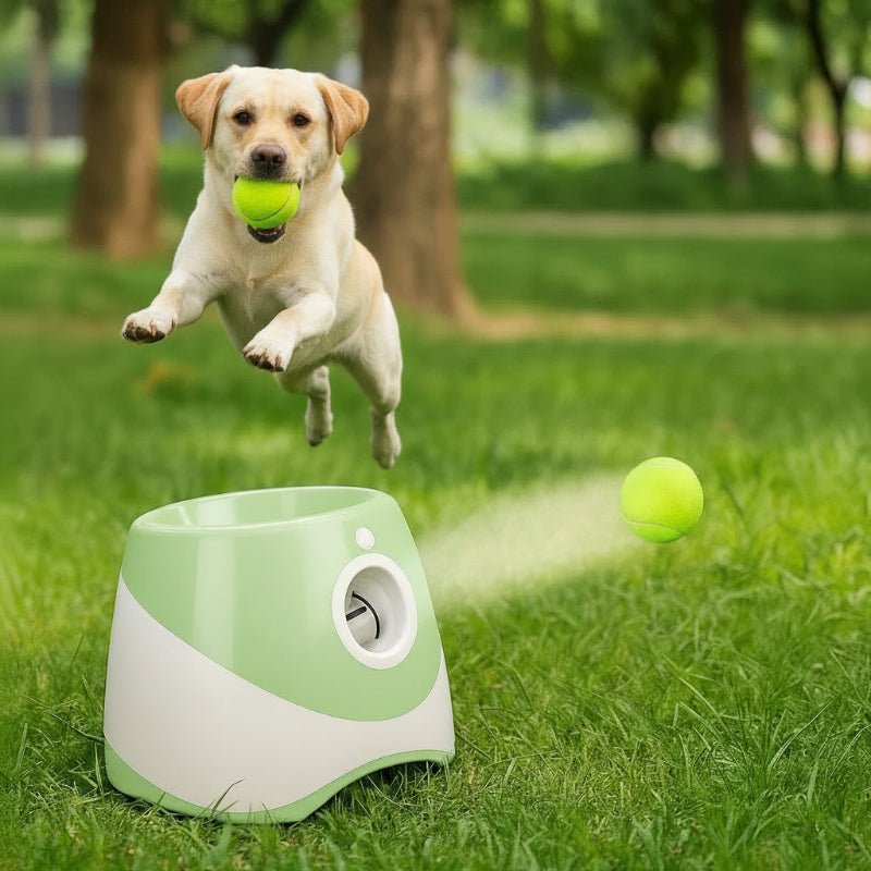 PlayFetch Automatischer Ballwerfer – Wiederaufladbares Hundespielzeug