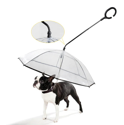 Rainguard -Regenschirm - Transparenter Hundebildschirm-2